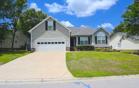 230 Elm Creek Court, Chapin, SC 29036