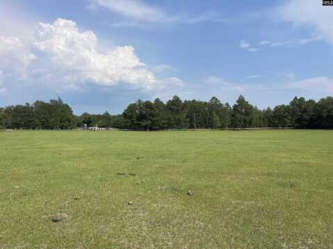 0 Sand Dam Road Tract A, Wagener, SC 29164