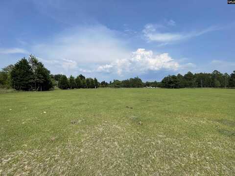 0 Sand Dam Road Tract B, Wagener, SC 29164