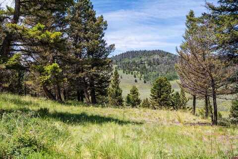 1021 Slumgullion Trail, Powderhorn, CO 81243