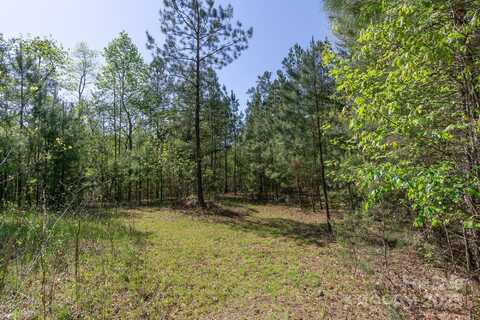 V/L Easy Street unit: 11 And 12, Lake Lure, NC 28746