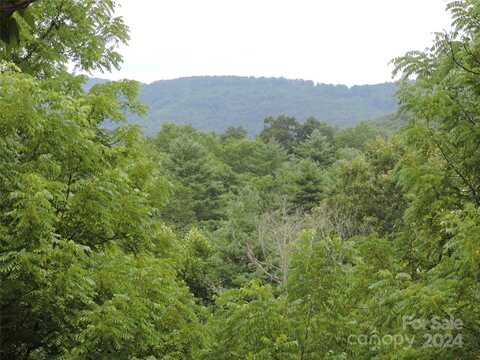 00 Ridge Road, Spruce Pine, NC 28777