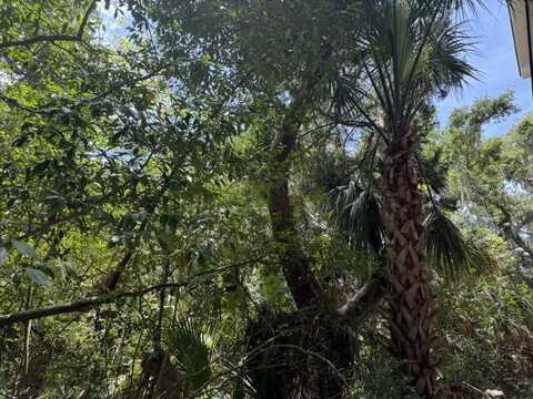 A-16 Oristo Ridge, Edisto Island, SC 29438