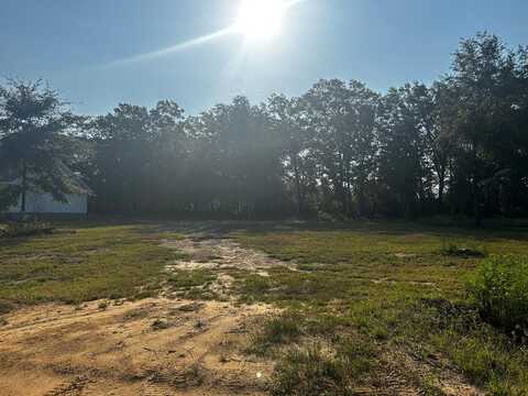 0 Bauman Rd, Ashford, AL 36312