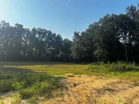 0 Bauman Rd, Ashford, AL 36312