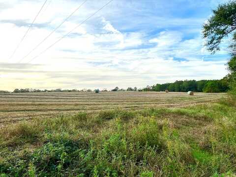 0 COUNTY ROAD 13, Headland, AL 36345
