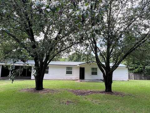 96 Plainview St, Newton, AL 36352