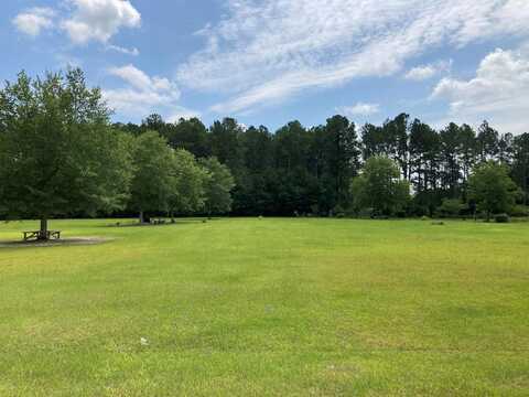 TBD-B Timber Trail, Nicholls, GA 31554