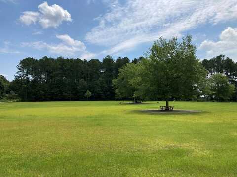 TBD-A Timber Trail, Nicholls, GA 31554