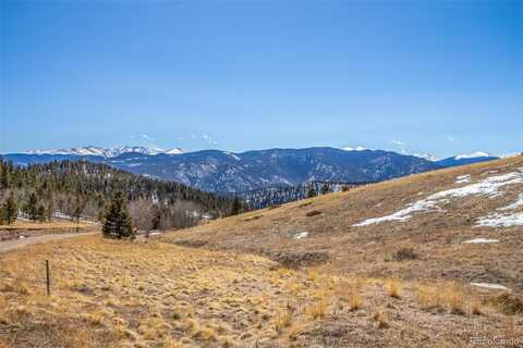 556 Pisgah Lake Road, Idaho Springs, CO 80452