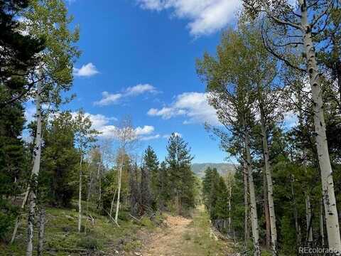 N002752 Front Neck Mine Road, Central City, CO 80427