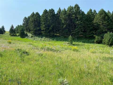 Tbd Moose Meadows Road, Livingston, MT 59047