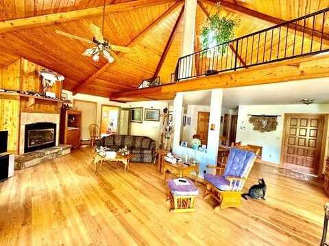 1 Deer Run DR, Holiday Island, AR 72631