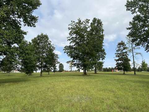 2460 Jasper Highlands Boulevard, Jasper, TN 37347
