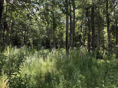 6135 lot 2 Red Bluff Rd., Loris, SC 29569