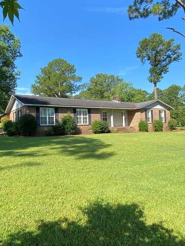 247 Lakewood Dr, Blakely, GA 39823