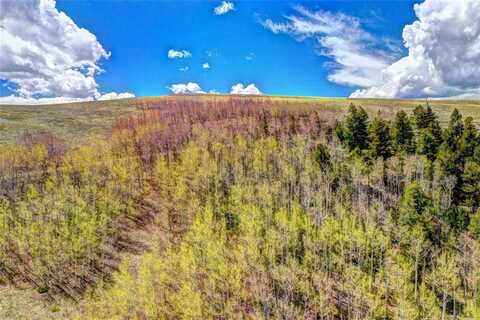 00 JICARILLA TRAIL, Hartsel, CO 80449