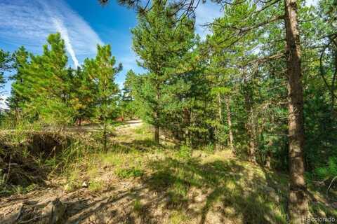 360 Hi Meadow Drive, Bailey, CO 80421