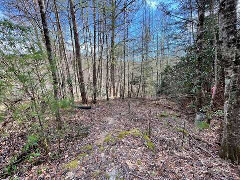 Tbd White Horse Road, Brevard, NC 28712