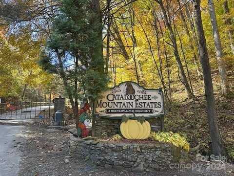 9999 Cisco Cove, Waynesville, NC 28785