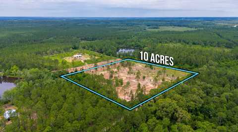 10 ACRES BUCK TYNER, Laurel Hill, FL 32567