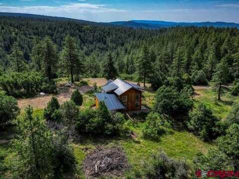 64 Jake's Court, Pagosa Springs, CO 81147