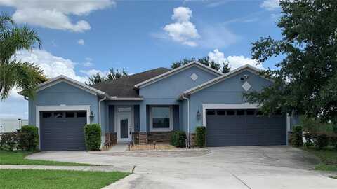 Golden Aster, CLERMONT, FL 34711