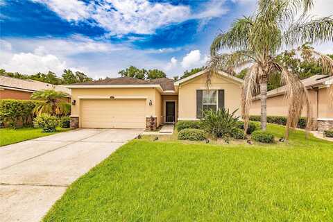 Holly Bluff, PLANT CITY, FL 33566