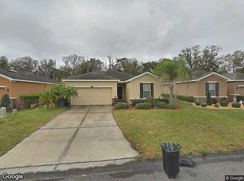 Holly Bluff, PLANT CITY, FL 33566