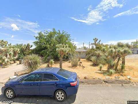 Aster, YUCCA VALLEY, CA 92284