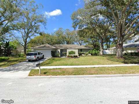 Beechtree, PALM HARBOR, FL 34683