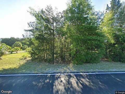 County Road 309, SATSUMA, FL 32189