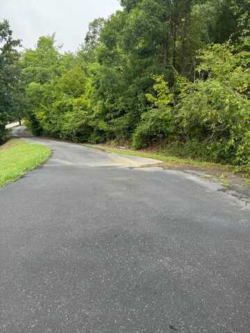 0 Short Tail Springs Road, Harrison, TN 37341