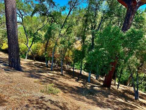 103 Thomson Lane, Copperopolis, CA 95228