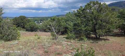 376 French Drive, South Fork, CO 81154