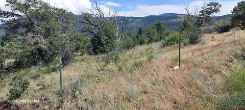 346 Shirley Drive, South Fork, CO 81154