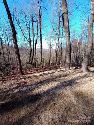 64 Corbin Mountain Road, Zirconia, NC 28790