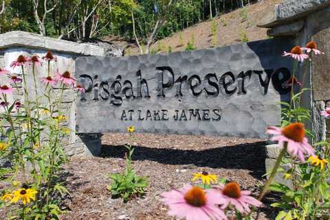 9589 Shortoff View Terrace unit: 29, Nebo, NC 28761