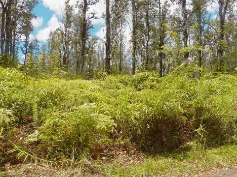 ROAD G (WAO KELE), MOUNTAIN VIEW, HI 96760