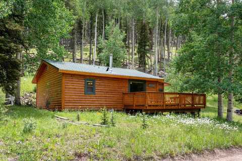 88 Upper Red River Valley Rd, Red River, NM 87558