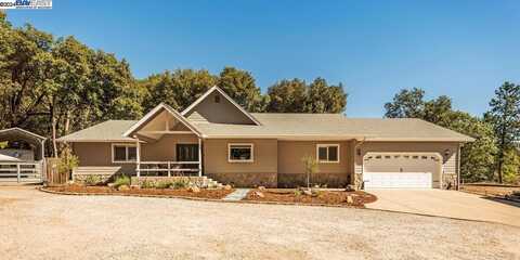 25025 State Highway 88, Pioneer, CA 95666