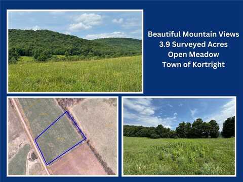 Lot 16 Swantak Road, Great River, NY 13842