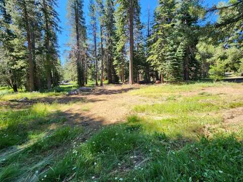 251 Quaking Aspen, Bear Valley, CA 95223