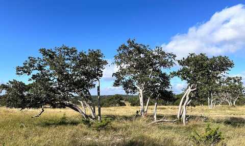 Lot 41 Buckskin Path, Fredericksburg, TX 78624