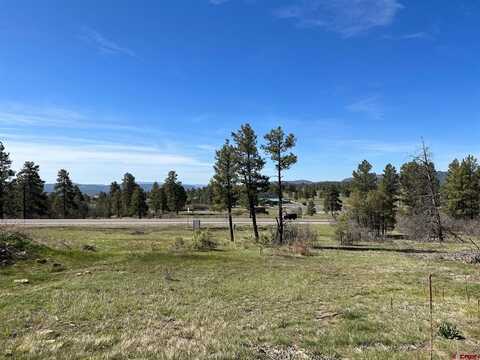 169 Ace Court, Pagosa Springs, CO 81147