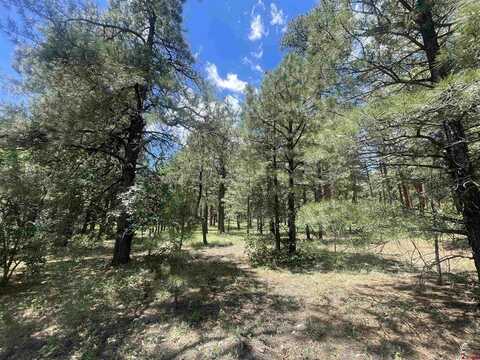 540 Hills Circle, Pagosa Springs, CO 81147