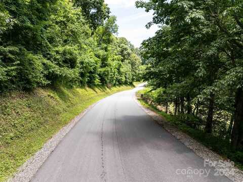 #39 Sleepy Hollow Drive, Waynesville, NC 28785