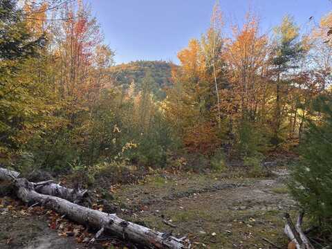 Willis Bean Road, Etna, NH 03832