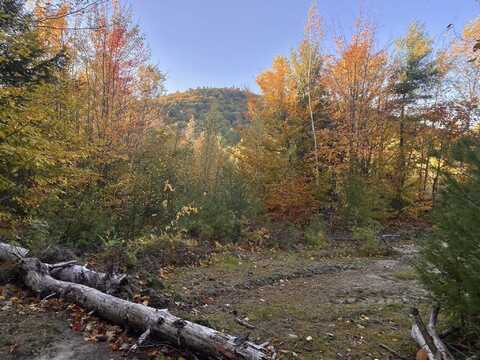 Willis Bean Road, Etna, NH 03832