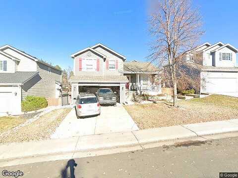 Stellars Jay, HIGHLANDS RANCH, CO 80129